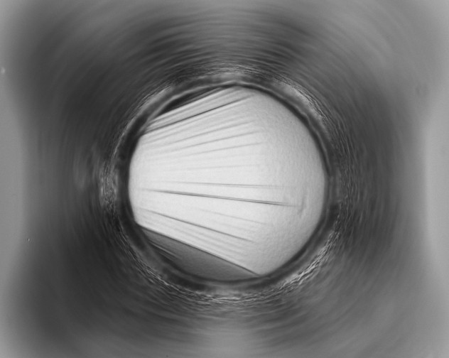 X0000096190827200802081518