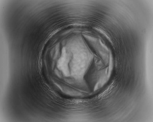 X0000096190829200802081518