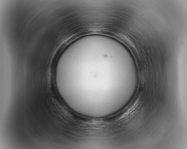 X0000096190831200802081518