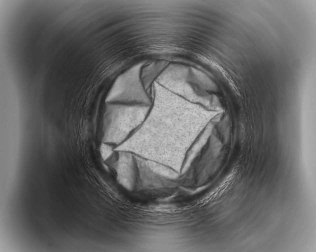 X0000096190833200802081518