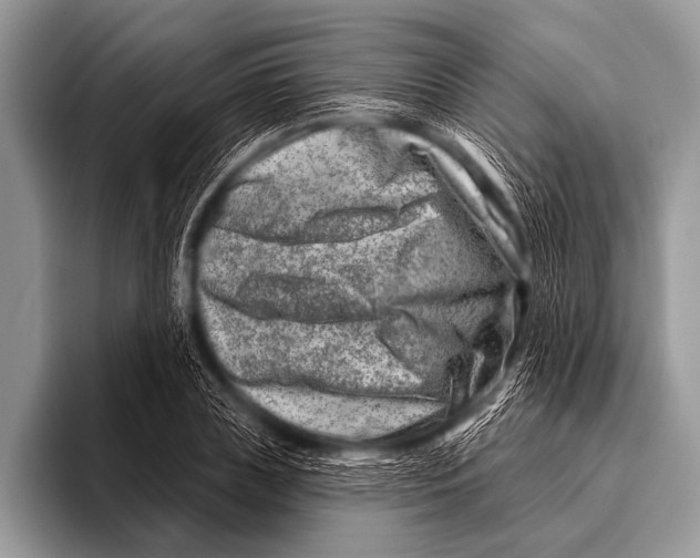 X0000096190835200802081518