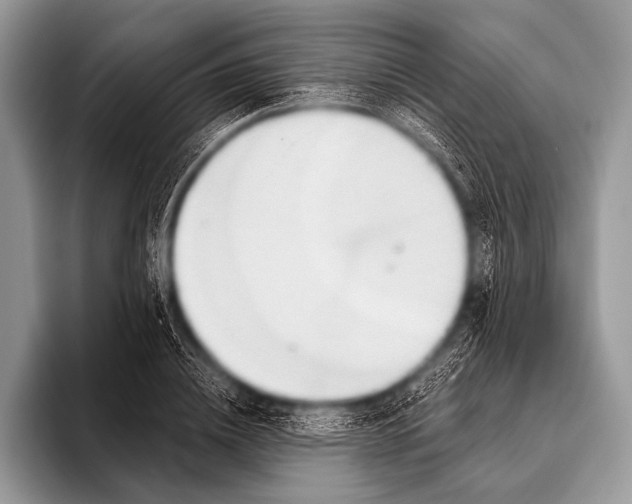 X0000096190836200802081518