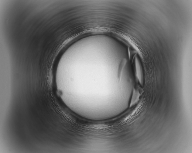 X0000096190837200802081518