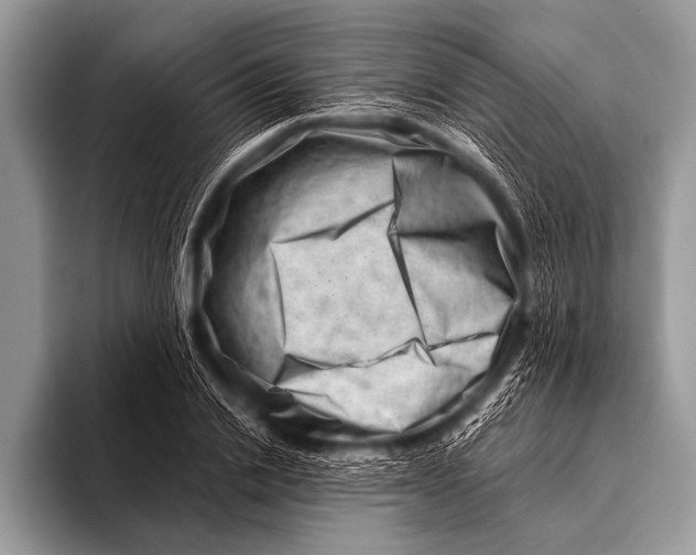 X0000096190838200802081518