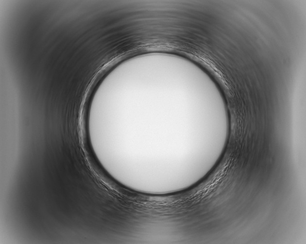 X0000096190840200802081518