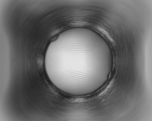 X0000096190841200802081518