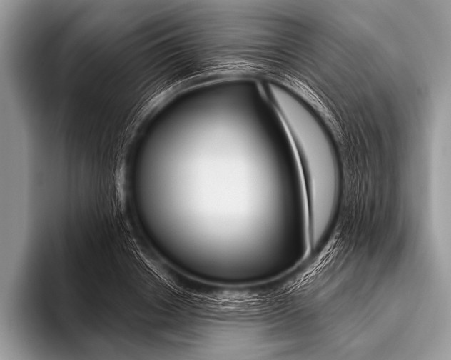 X0000096190842200802081518