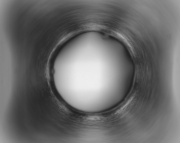 X0000096190843200802081518