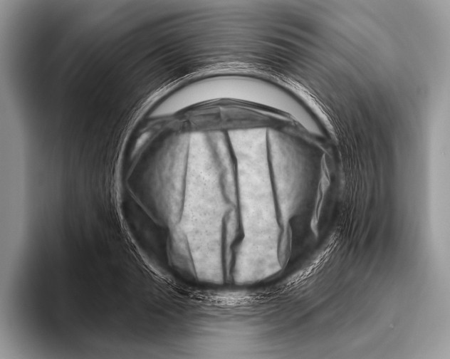 X0000096190845200802081518