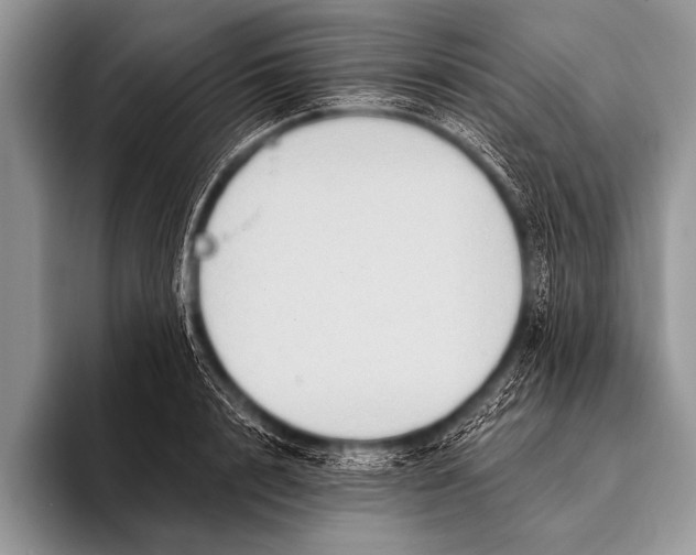 X0000096190848200802081518