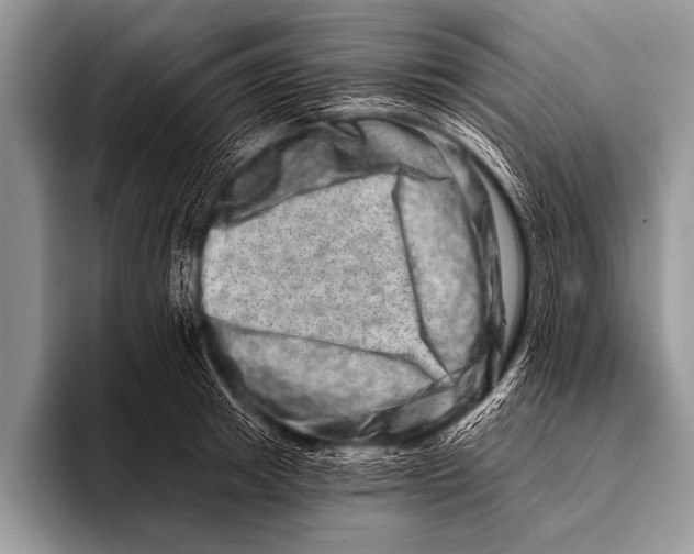 X0000096190849200802081518