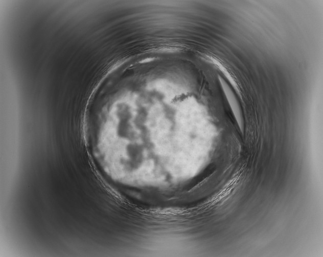 X0000096190851200802081518