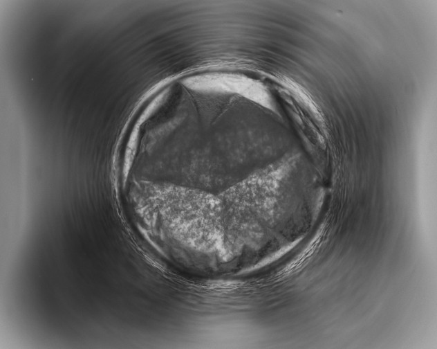 X0000096190854200802081518