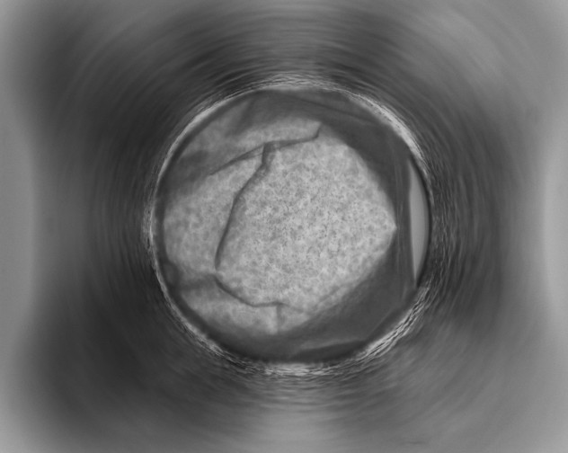 X0000096190855200802081518