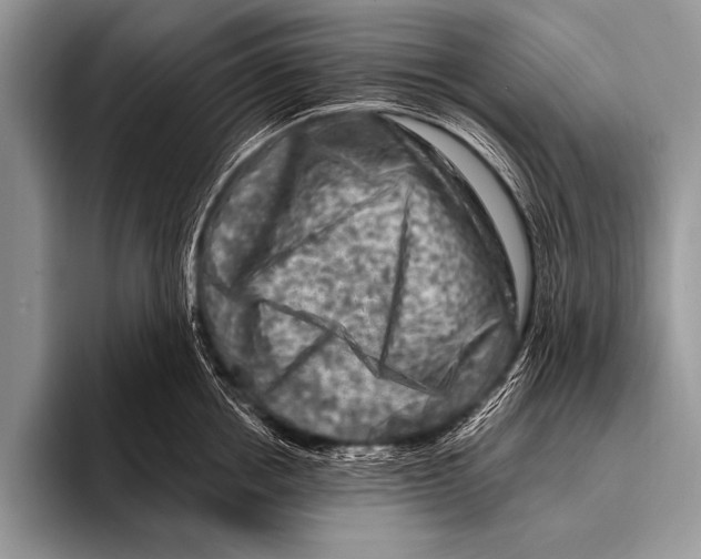 X0000096190858200802081518