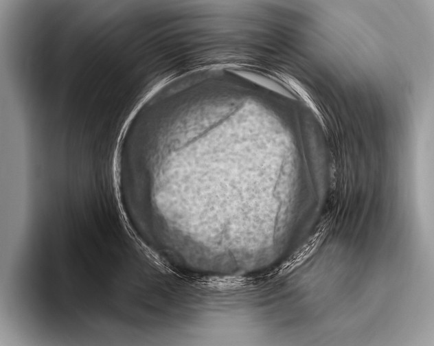 X0000096190859200802081518