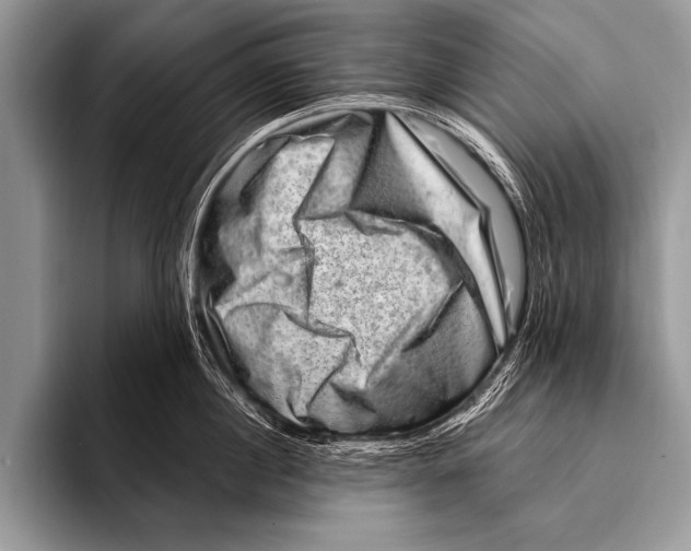 X0000096190860200802081518