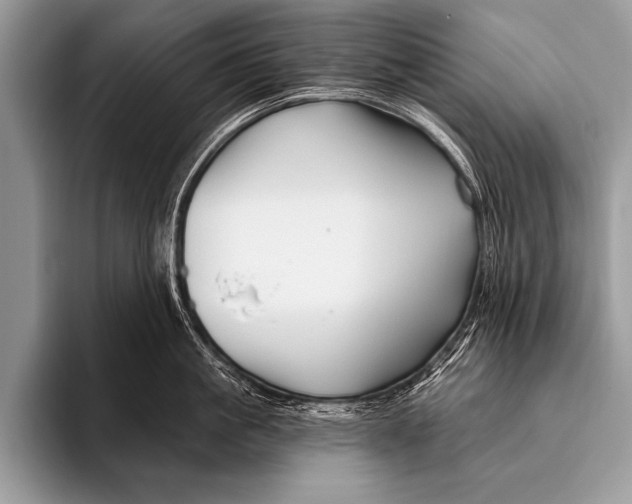 X0000096190861200802081518