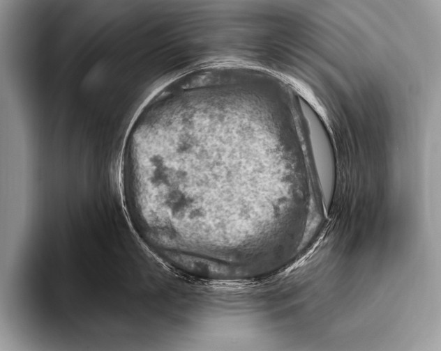 X0000096190863200802081519