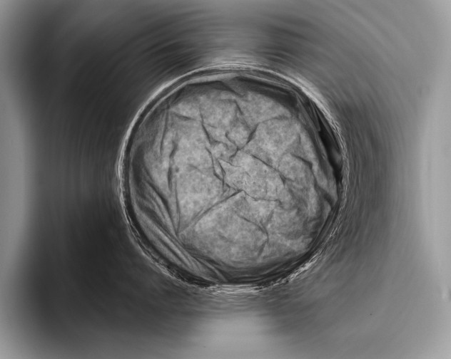 X0000096190864200802081519