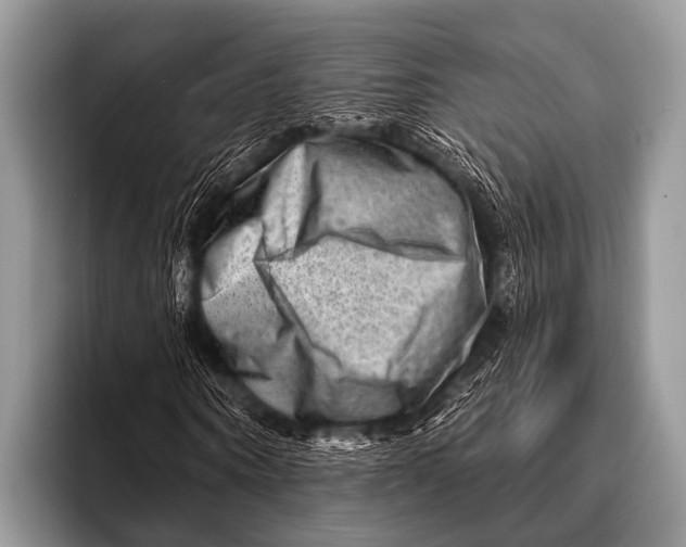 X0000096190866200802081518