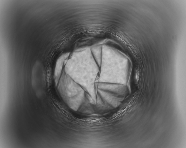 X0000096190867200802081518