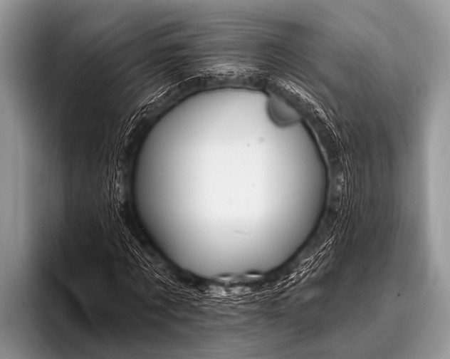 X0000096190869200802081518