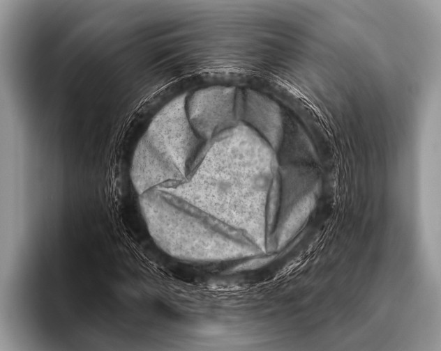 X0000096190870200802081518