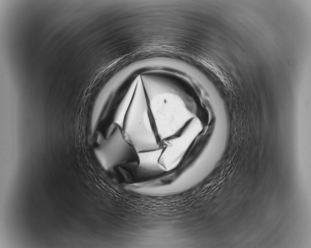 X0000096190872200802081518