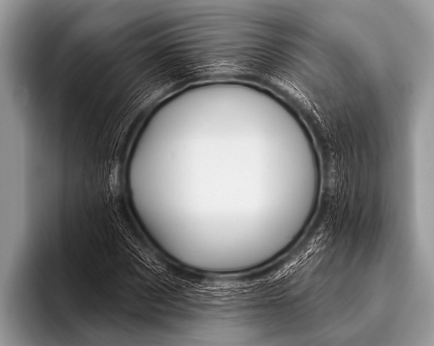 X0000096190873200802081518