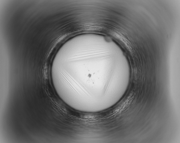 X0000096190875200802081518