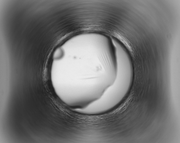 X0000096190876200802081518