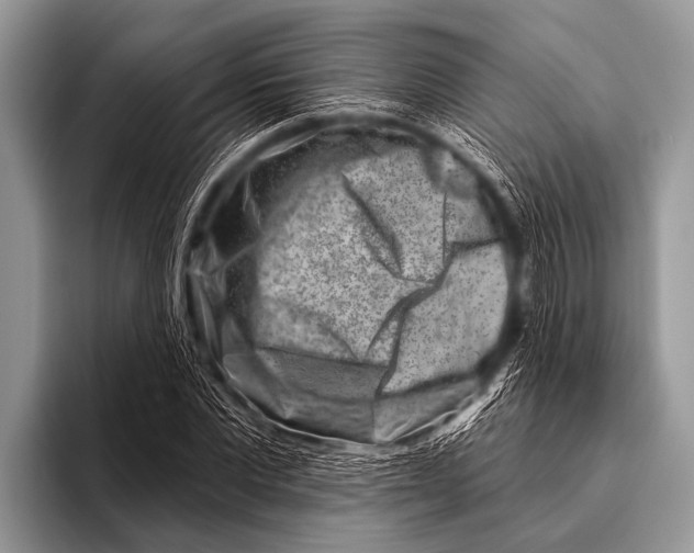 X0000096190877200802081518