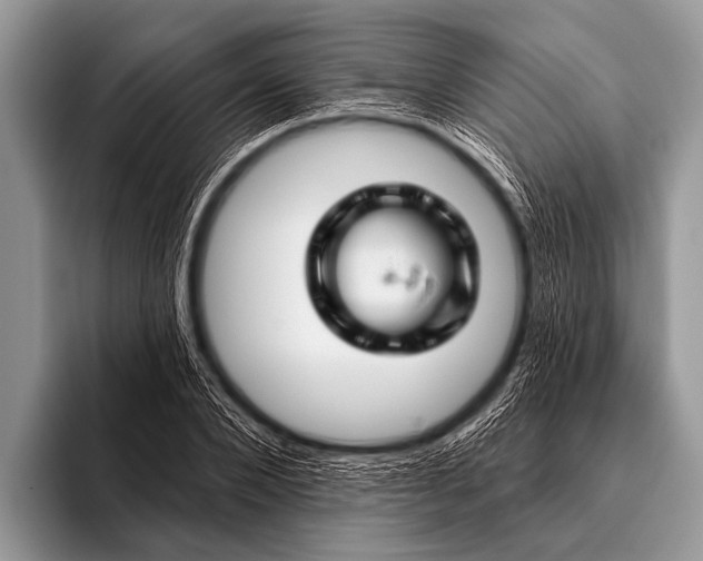 X0000096190880200802081518