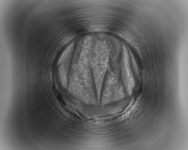 X0000096190881200802081518