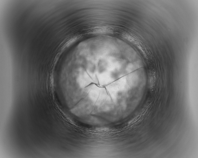 X0000096190882200802081517