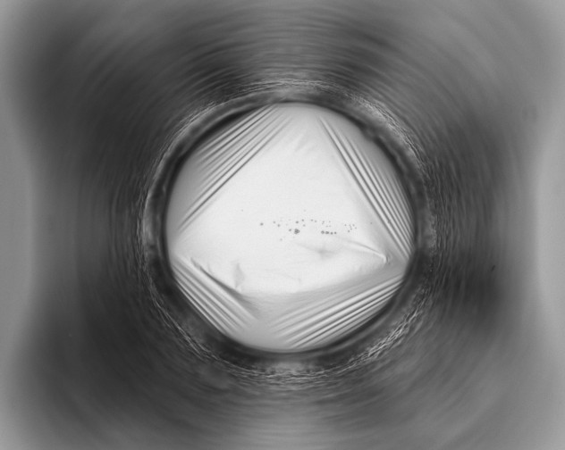 X0000096190883200802081517