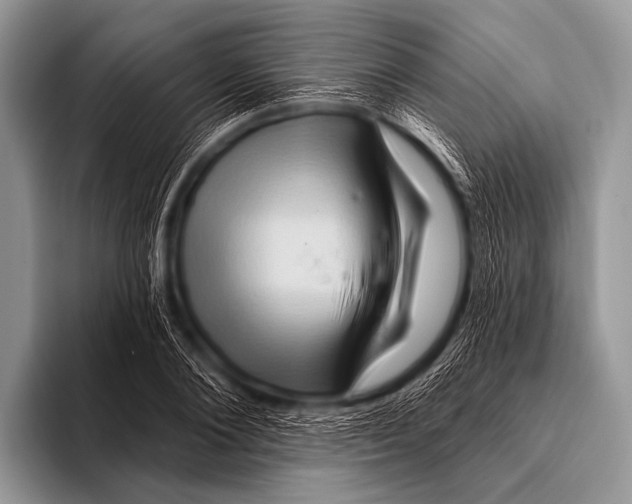 X0000096190884200802081517