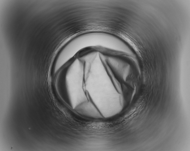 X0000096190885200802081517