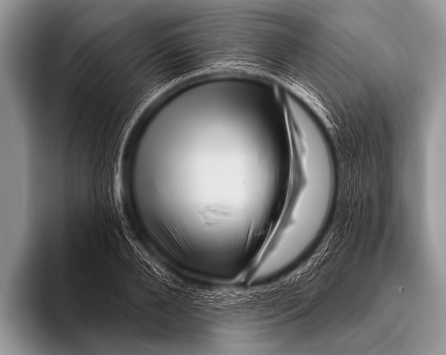 X0000096190888200802081517