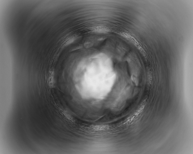 X0000096190889200802081517