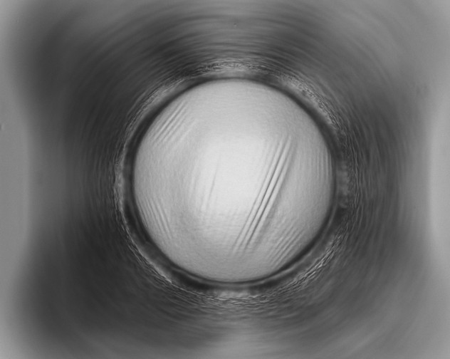 X0000096190890200802081517