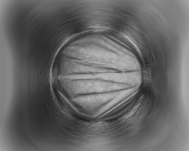 X0000096190891200802081517