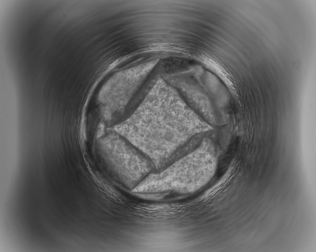 X0000096190892200802081517