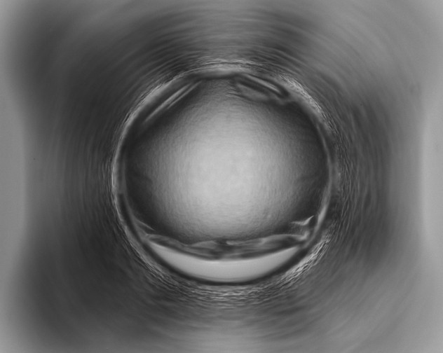 X0000096190893200802081517