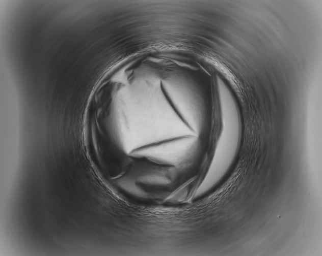 X0000096190894200802081517