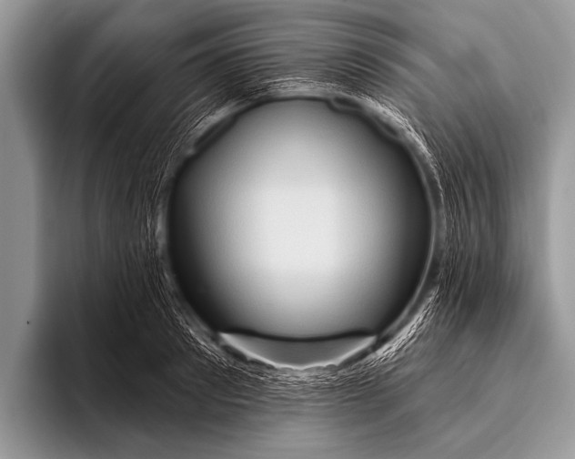 X0000096190897200802081517