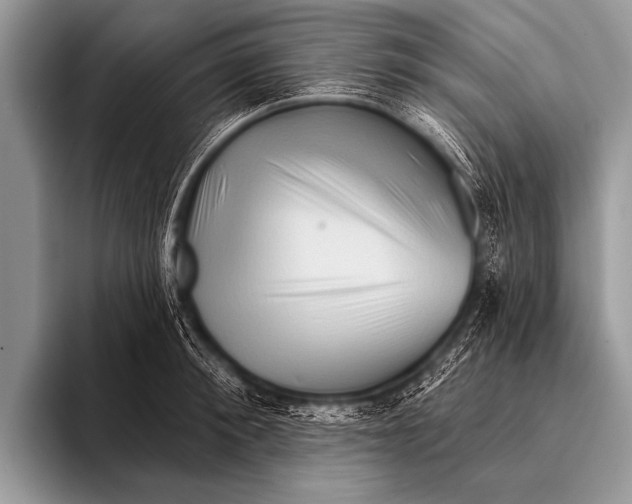 X0000096190900200802081517