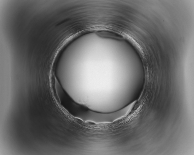 X0000096190901200802081517