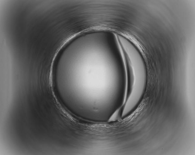 X0000096190902200802081517